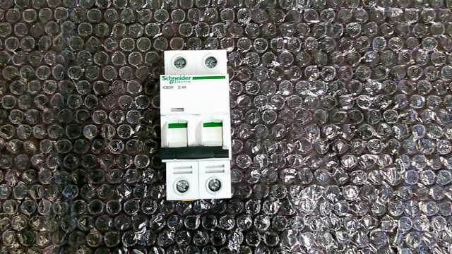 Schneider A9F55204 Double Pole
