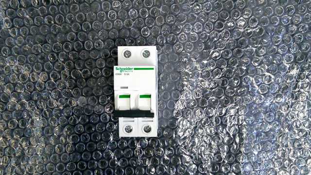 Schneider A9F55202 Double Pole